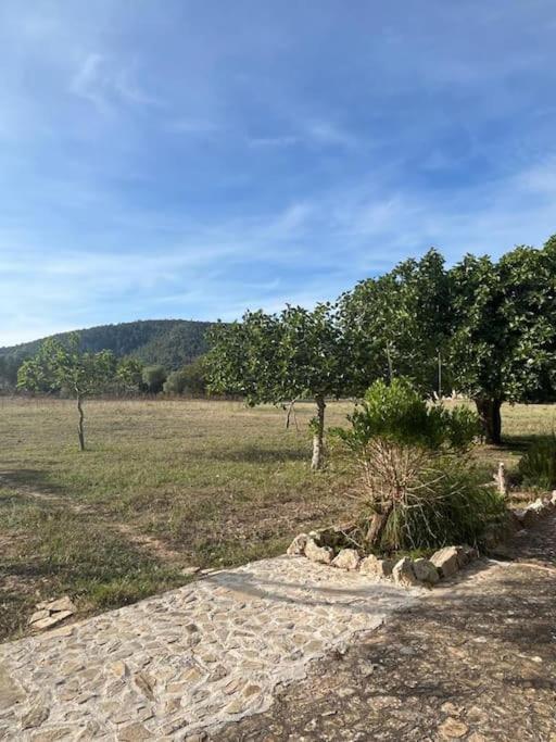 Es Born - Vistas Panoramicas * Esporles